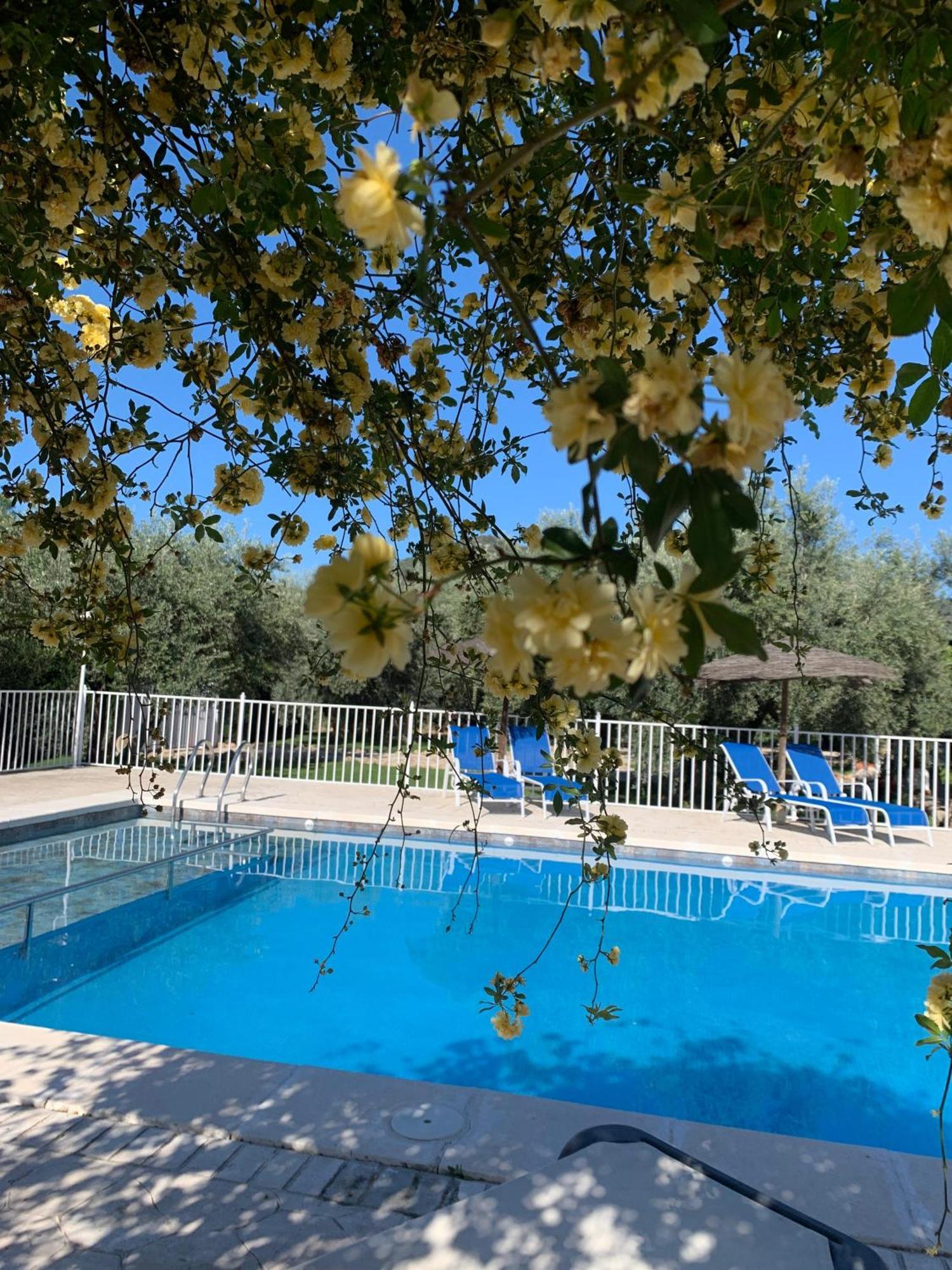 Casa De La Noria Βίλα Carcabuey Εξωτερικό φωτογραφία
